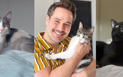 Hoy comparte su vida con Merlín y Gretel, aunque Paco, su primer gato (foto central), fue “el amor de su vida”.