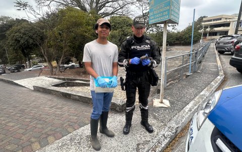 La presencia de la tortuga fue reportada al ECU-911