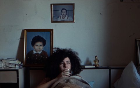 La muestra del filmes está dividido en seis secciones y cuenta con documentales locales e internacionales.