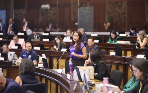 Nataly Farinango, presidenta de la Comisión de Régimen Económico, fue la proponente en el Pleno.