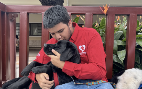 La canoterapia en el Instituto de Neurociencias integra a tres perros entrenados que ayudan a reducir la ansiedad y la depresión.