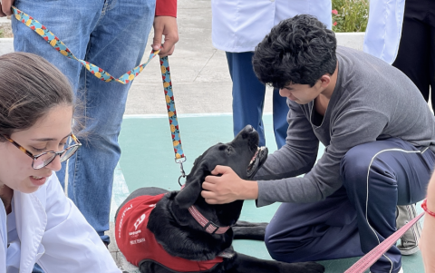 En el Instituto de Neurociencias, tres perros entrenados brindan compañía y apoyo emocional a pacientes en su proceso de recuperación.