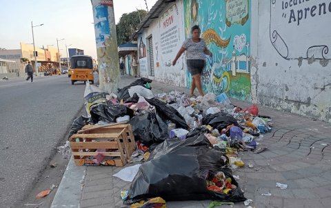 En Playas, los desechos se dispersan rápidamente: perros callejeros esparcen la basura acumulada en calles y avenidas, lo que agrava el problema sanitario y causa molestias a los vecinos.