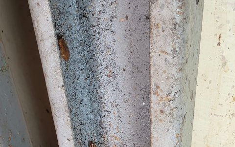 Arcsa clausura local en Durán: cucarachas y basura en la cocina.