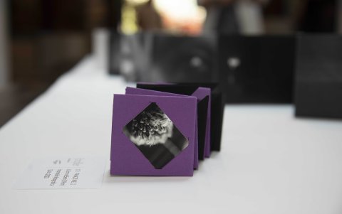 La propuesta de Aguilar combina la observación del entorno, la práctica fotográfica y ejercicios de reflexión guiada