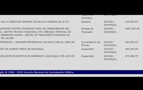 Contratos por más de $200.000 para eventos en Guayaquil quedan suspendidos.