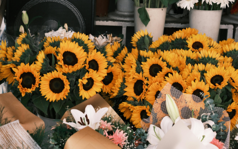 En Guayaquil, los mercados y florerías se llenan de girasoles y rosas amarillas cada septiembre.