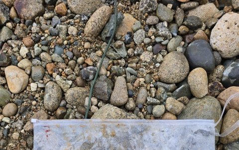 Se encontró gran cantidad de municiones.