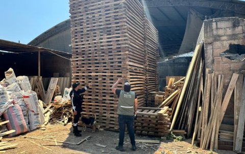 La madera también es material de tráfico ilegal.