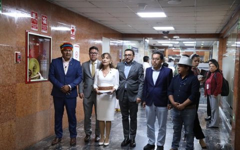 Entre los asambleístas sobre los cuales pesa la queja presentada por Niel Olsen está Patricia Núñez.