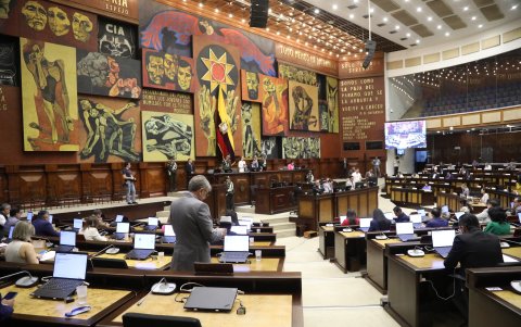 ADN y Revolución Ciudadana son los bloques mayoritarios en la Asamblea, desde su instalación en mayo 2025.
