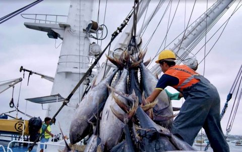 Ecuador tiene restricciones para importar atún a EE.UU.