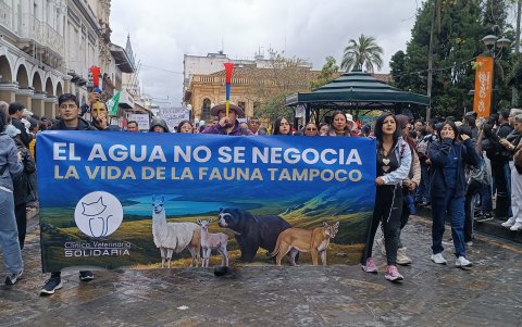 Miles de personas marcharon por las calles de Cuenca en rechazo del proyecto Loma Larga, en Quimsacocha.