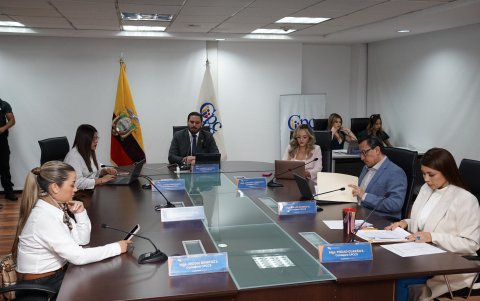 Fantoni, Enríquez, Rosero y Verdezoto son la mayoría consolidada.