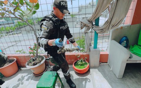 El reptil fue rescatado en una vivienda que colinda con el cerro.