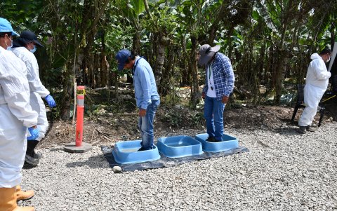 En zonas cercanas al foco de infección se intensifican los controles y protocolos de bioseguridad.