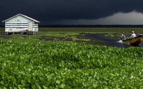Un pescador navega en el pueblo de Nueva Venecia, en la Ciénaga Grande de Santa Marta, al norte de Colombia, el 5 de septiembre de 2025.