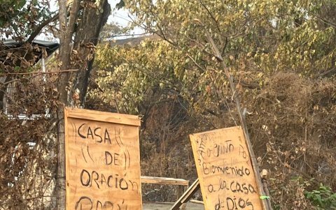 Letreros afuera del asentamiento en medio del bosque