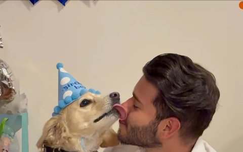 En Quito también surgieron espacios enfocados en perros y gatos, con un concepto de prioridad para las mascotas, como Malike Coffee