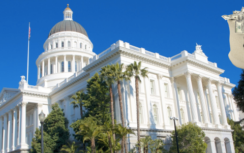 El programa exige residencia en Sacramento, mayoría de edad y actividad artística comprobada.