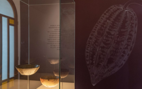 Hay evidencia arqueológica que respalda el origen ancestral del cacao en Ecuador.