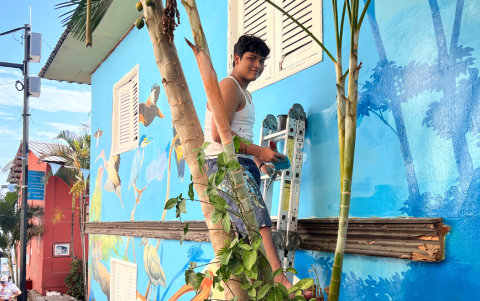Murales, colores y cultura popular se despliegan a lo largo de los 444 escalones del Cerro Santa Ana.