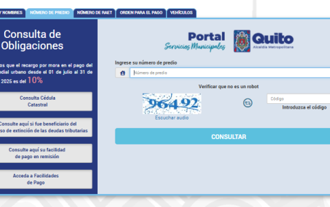 Los ciudadanos deben ingresar al portal oficial pam.quito.gob.ec, colocar el número de predio o el nombre completo del propietario.