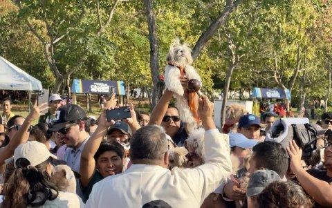 La jornada recordó la importancia de respetar los derechos de los animales y denunciar cualquier maltrato a través de la línea 181.