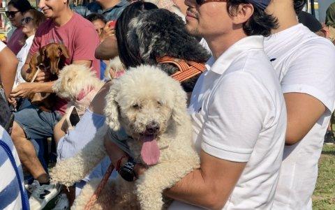 La bendición se realizó en conmemoración del Día de San Francisco de Asís, patrono de los animales.