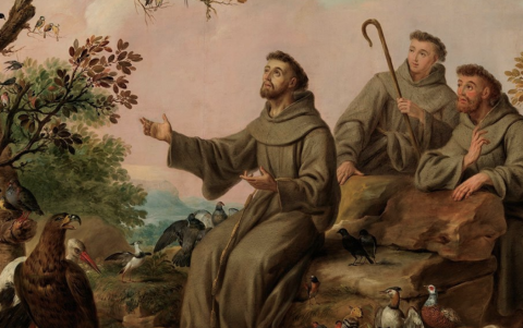 Figura central del cordonazo, San Francisco de Asís representa humildad, conexión con la naturaleza y fe popular en Quito.