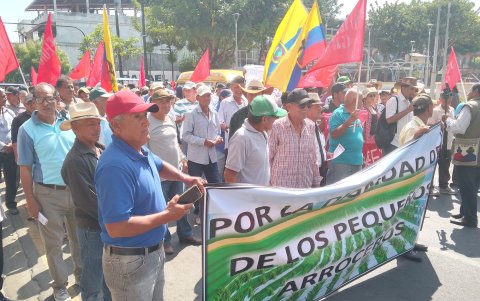 Productores de Daule, Salitre y Santa Lucía protestaron por bajos precios del arroz y la eliminación del subsidio al diésel