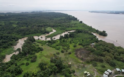 Santay es un ecosistema muy exótico. EXPRESO ya ha documentado algunos estudios en este sitio