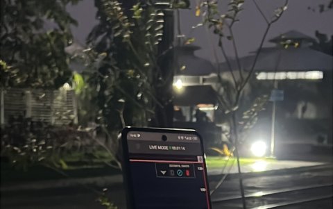 Con estos dispositivos se pudo clasificar y entender el patrón de sonidos de los murciélagos endémicos.