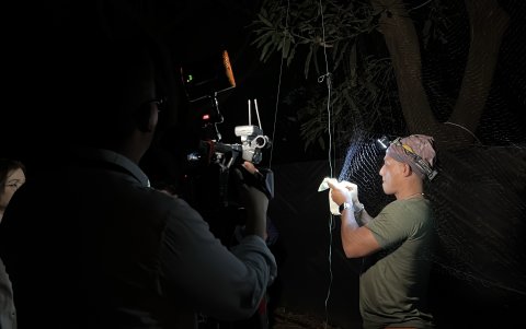 Trabajo de campo para la investigación