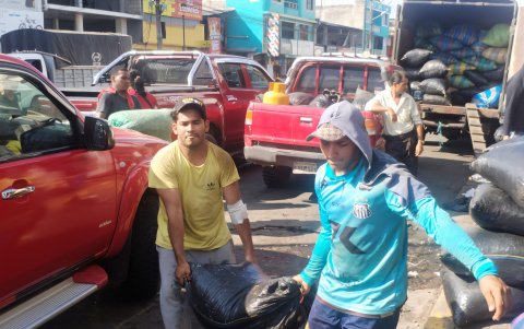 En las comercializadoras de Quinindé, en el lapso de dos semanas, el precio del quintal de cacao seco cayó de $245 a $205.