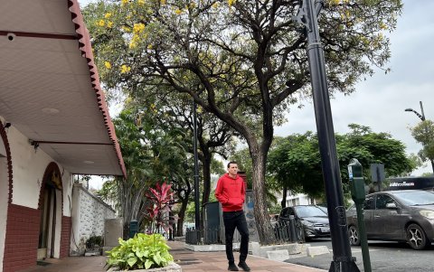 Guayacanes. La ciudadela Urdesa se ha colorido de amarillo; no solo en la avenida principal, también en las secundarias.