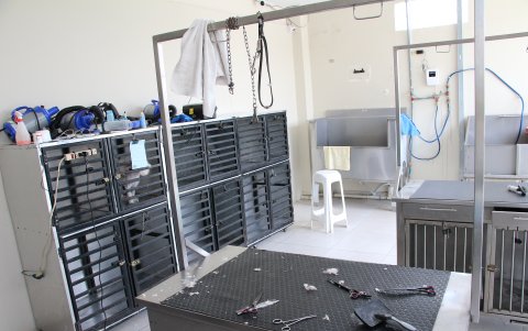 Imágenes del consultorio clausurado.