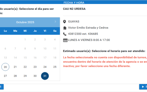 Captura de pantalla de visor de turnos del IESS, realizada pasado el mediodía de este 20 de octubre de 2025.