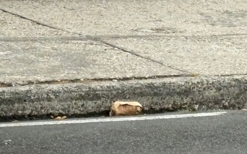 Tras una verificación técnica, se confirmó que el objeto no correspondía a ningún tipo de explosivo