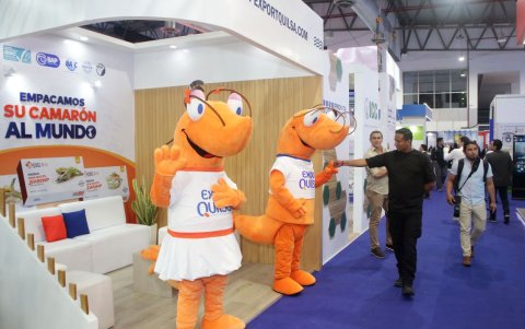 El sector mantiene un crecimiento cercano al 20 % anual pese a los desafíos energéticos y de seguridad en zonas productivas.