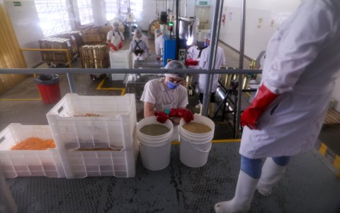 Un grupo de personas trabajando en una fábrica en Buenos Aires (Argentina).