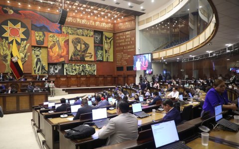 Daniel Noboa plantea un Legislativo bicameral y que designe autoridades.