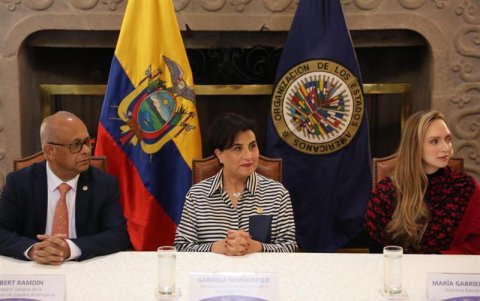 La iniciativa cuenta con el respaldo de los 33 países miembros del Consejo Permanente de la OEA.