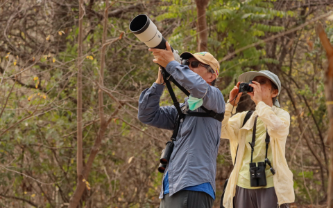 Una de las actividades que se puede realizar en Cerro Blanco es el avistamiento de aves.