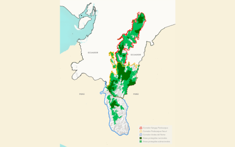 La protección de los ecosistemas andinos garantiza la supervivencia del oso de anteojos, el cóndor andino y otras especies emblemáticas