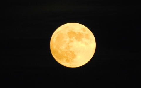 La superluna de Castor coincidirá con la lluvia de meteoros Táuridas, un espectáculo doble que no te puedes perder.