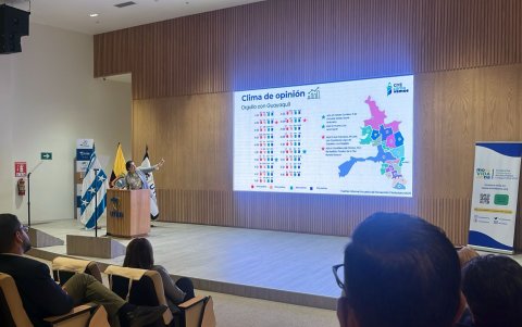 Presentación de los resultados 