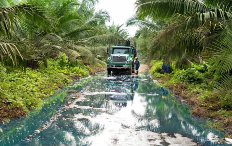 Las manchas aceitosas cubren quebradas y vertientes que antes abastecían a las comunidades rurales.