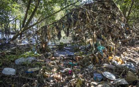 Fotografía de residuos, escombros y basura entre manglares en la Bahía de Guanabara el 16 de octubre de 2025.