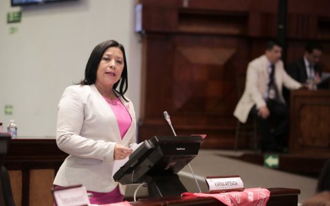 Karina Arteaga fue asambleísta de Alianza PAIS en el periodo 2017 - 2021.